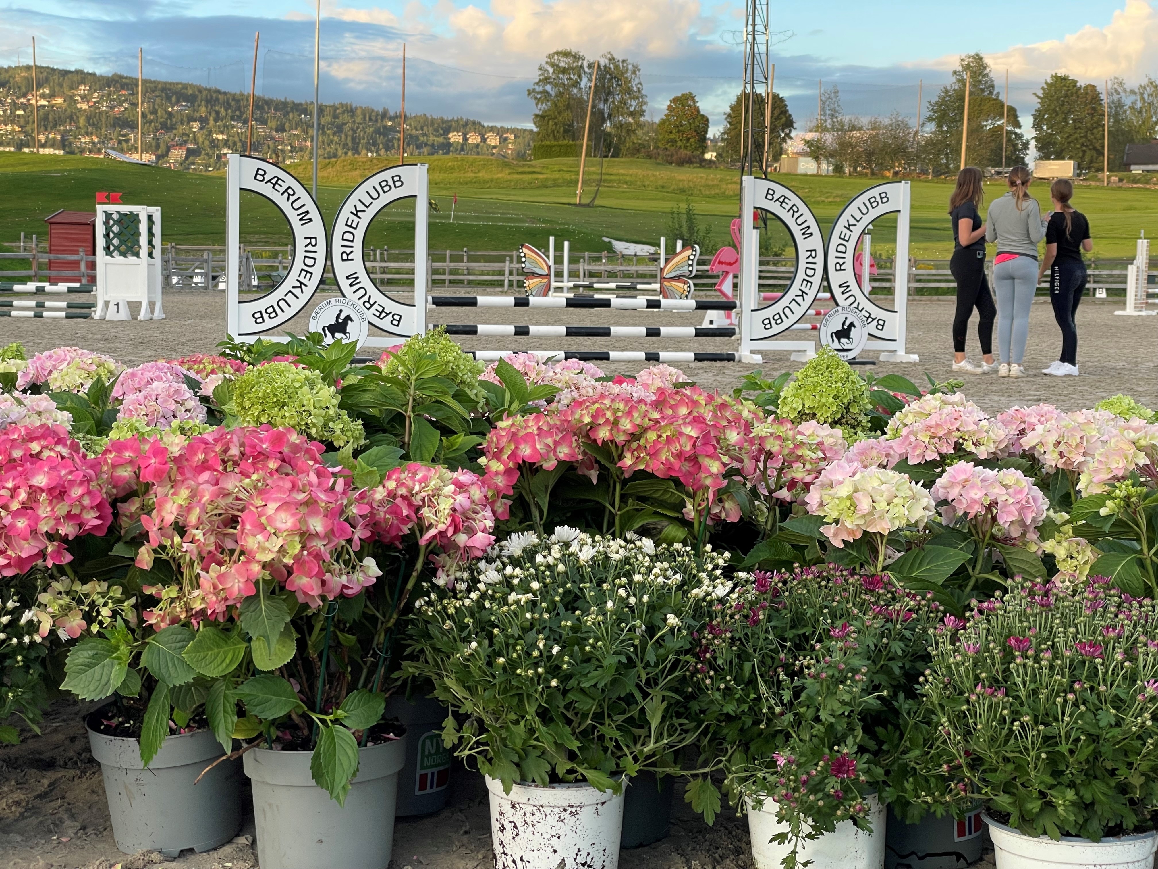 Image for Rainbow Cup 2025